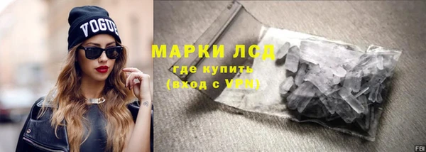 стафф Гусев