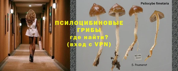 индика Гусиноозёрск