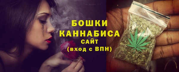стафф Гусев