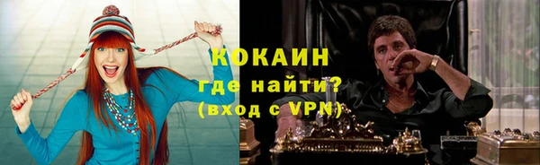 стафф Гусев
