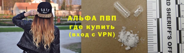 индика Гусиноозёрск