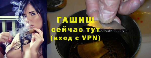 индика Гусиноозёрск