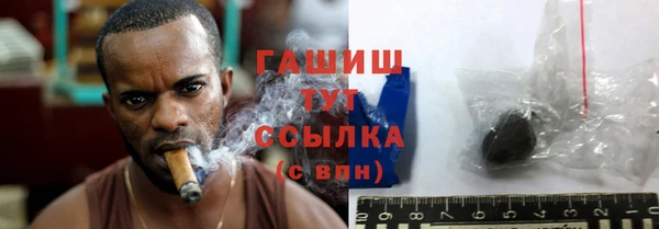 индика Гусиноозёрск