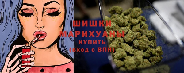 индика Гусиноозёрск