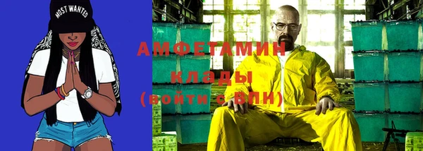 индика Гусиноозёрск