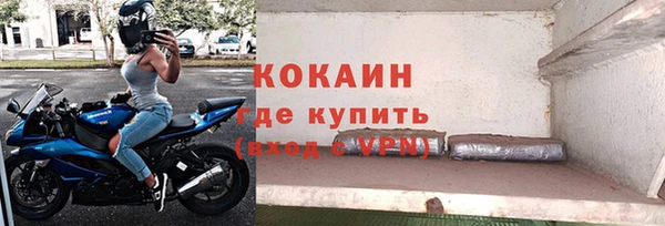 индика Гусиноозёрск