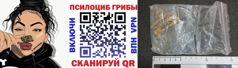 Псилоцибиновые грибы Magic Shrooms  Купить  Тара 